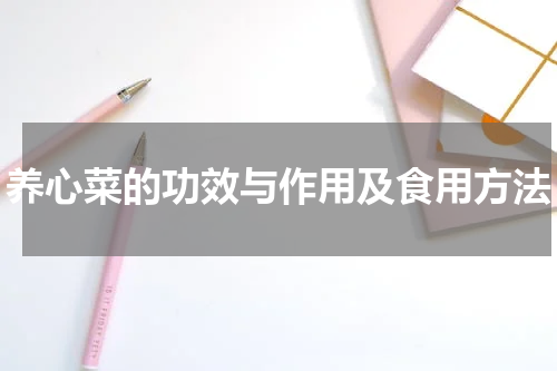 养心菜的功效与作用及食用方法