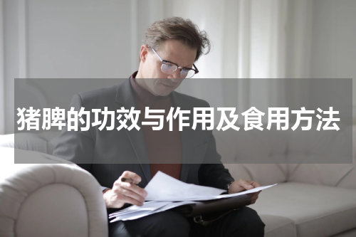 猪脾的功效与作用及食用方法