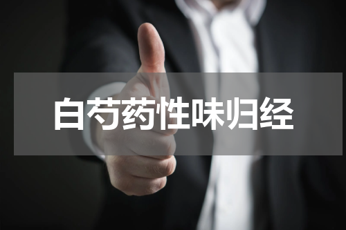 白芍药性味归经