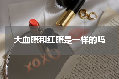 大血藤和红藤是一样的吗