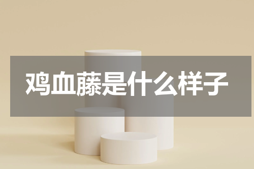 鸡血藤是什么样子