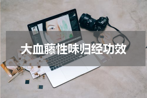 大血藤性味归经功效