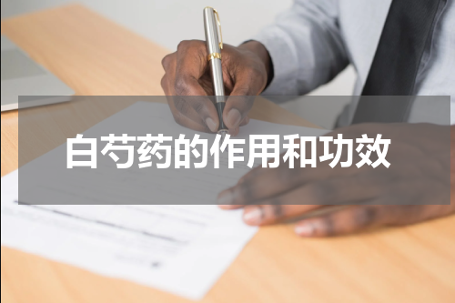 白芍药的作用和功效