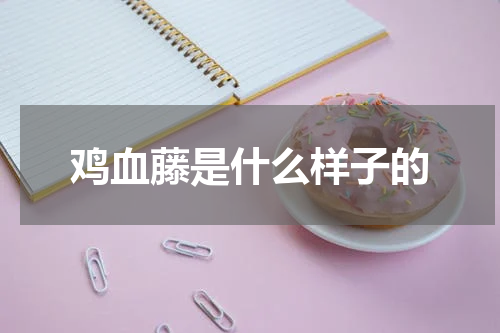 鸡血藤是什么样子的