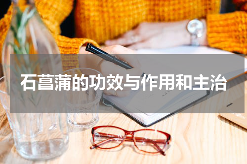 石菖蒲的功效与作用和主治