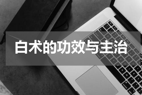 白术的功效与主治