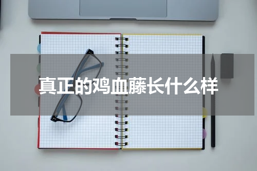 真正的鸡血藤长什么样
