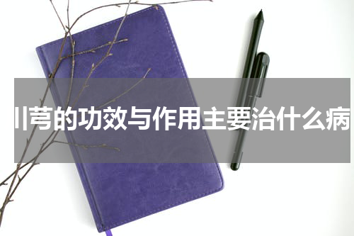 川芎的功效与作用主要治什么病