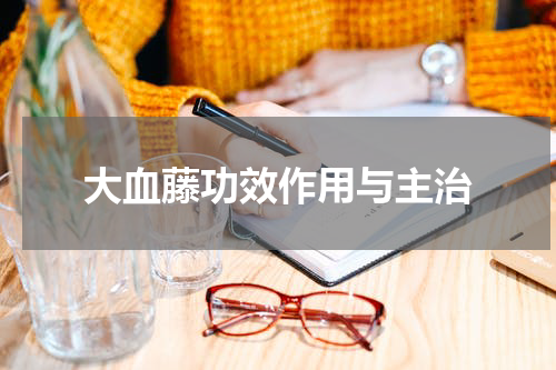大血藤功效作用与主治