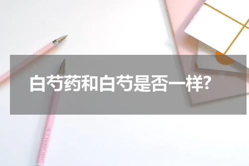 白芍药和白芍是否一样?