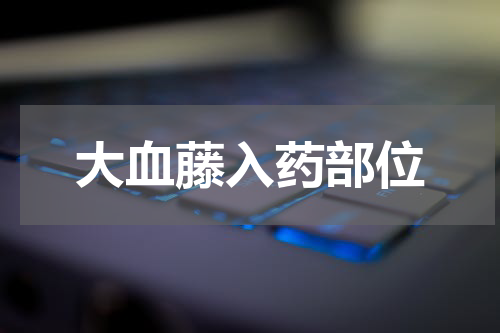 大血藤入药部位