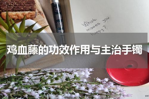 鸡血藤的功效作用与主治手镯