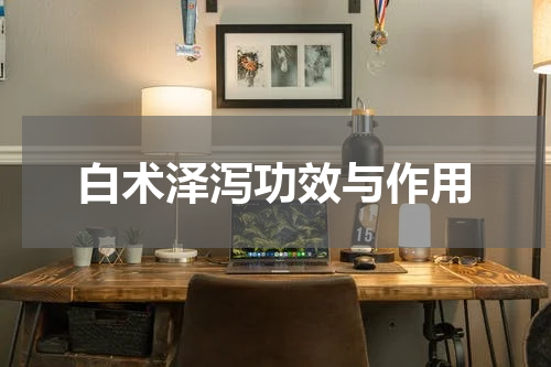 白术泽泻功效与作用