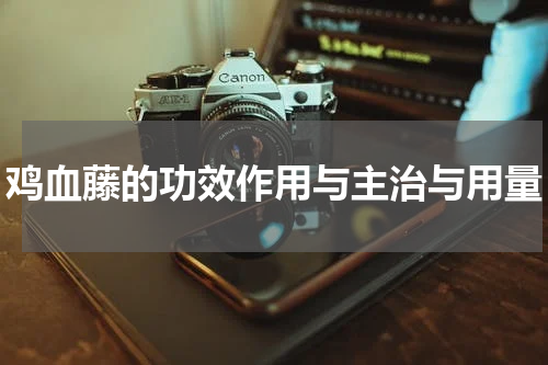 鸡血藤的功效作用与主治与用量