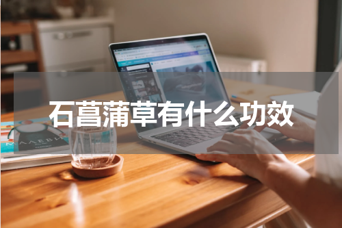 石菖蒲草有什么功效