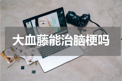 大血藤能治脑梗吗