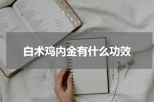 白术鸡内金有什么功效