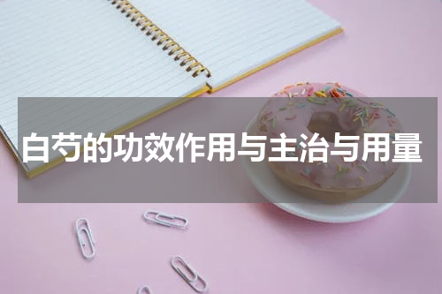白芍的功效作用与主治与用量