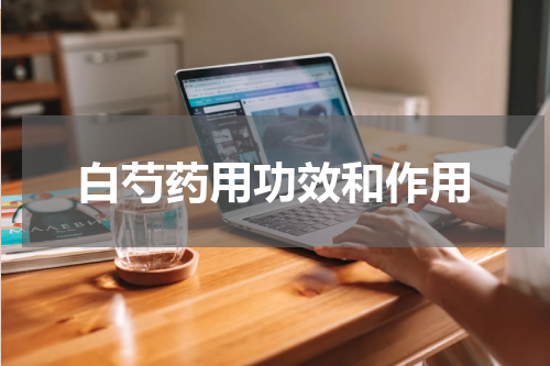 白芍药用功效和作用