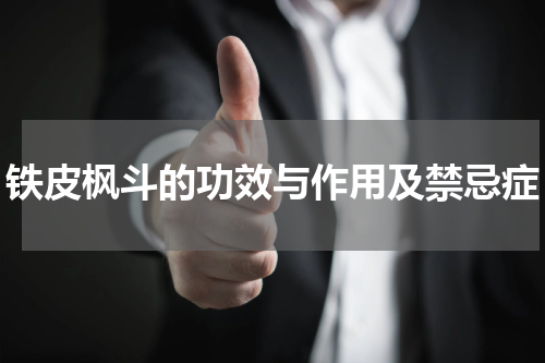 铁皮枫斗的功效与作用及禁忌症