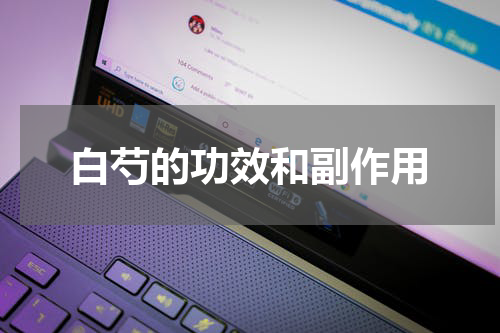 白芍的功效和副作用