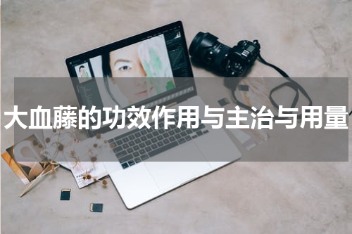 大血藤的功效作用与主治与用量