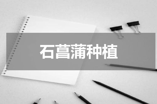 石菖蒲种植