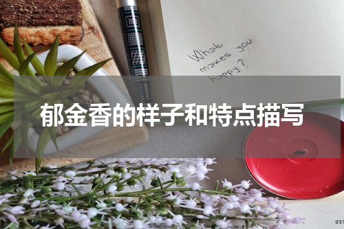 郁金香的样子和特点描写