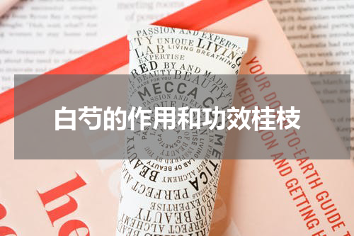 白芍的作用和功效桂枝