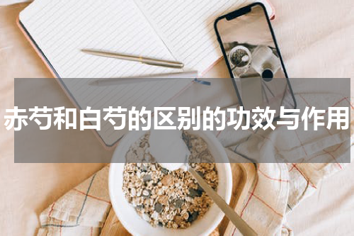 赤芍和白芍的区别的功效与作用