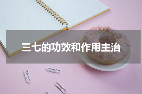 三七的功效和作用主治