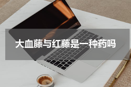 大血藤与红藤是一种药吗