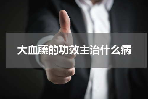 大血藤的功效主治什么病