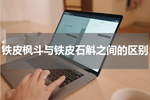 铁皮枫斗与铁皮石斛之间的区别