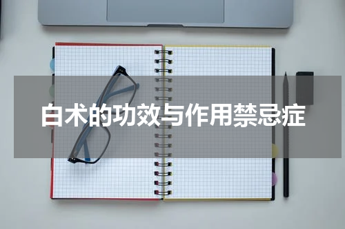 白术的功效与作用禁忌症