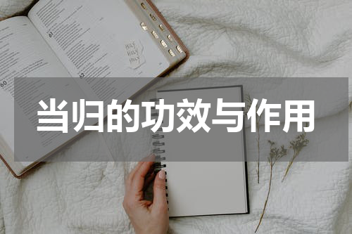 当归的功效与作用