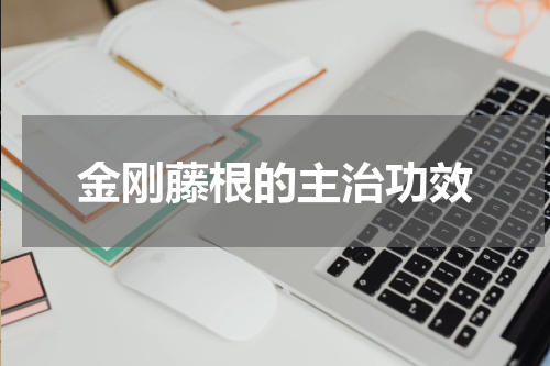 金刚藤根的主治功效