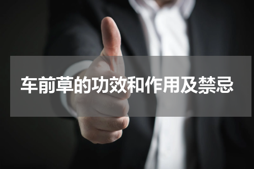 车前草的功效和作用及禁忌