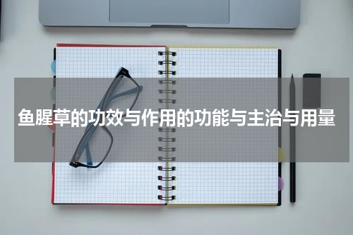 鱼腥草的功效与作用的功能与主治与用量