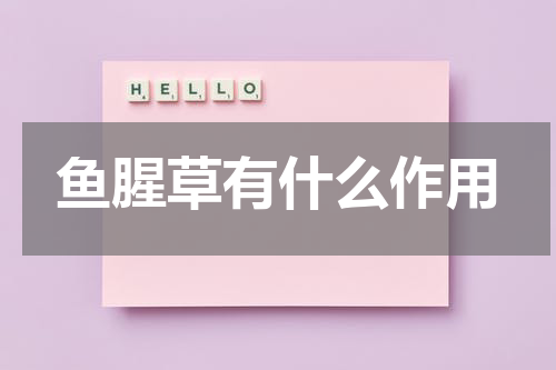 鱼腥草有什么作用