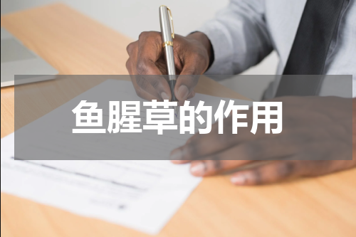 鱼腥草的作用