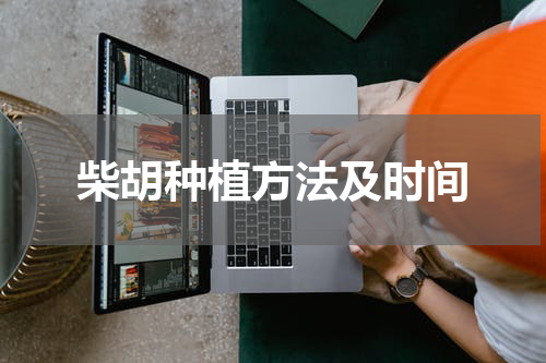 柴胡种植方法及时间