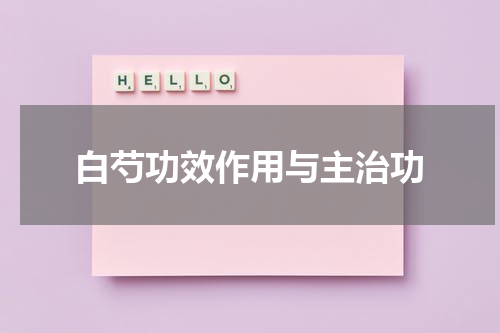 白芍功效作用与主治功