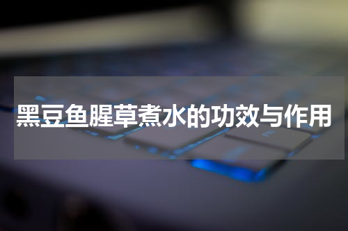 黑豆鱼腥草煮水的功效与作用