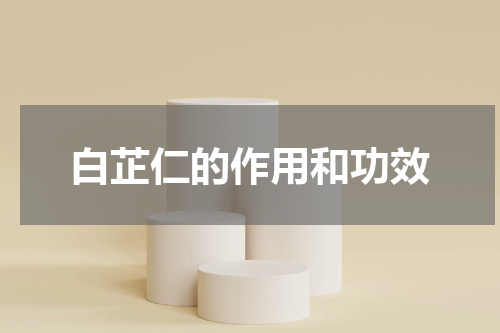 白芷仁的作用和功效