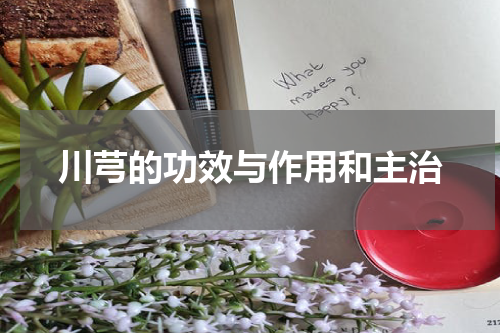 川芎的功效与作用和主治
