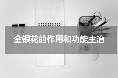 金银花的作用和功能主治