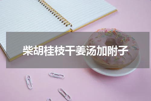 柴胡桂枝干姜汤加附子