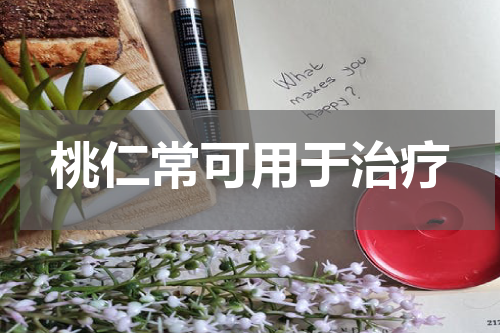 桃仁常可用于治疗
