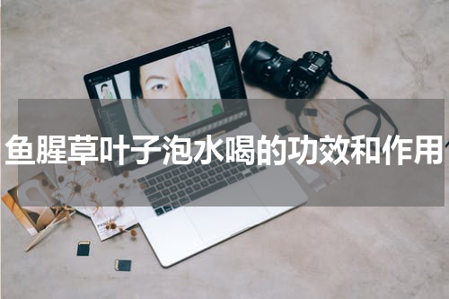 鱼腥草叶子泡水喝的功效和作用